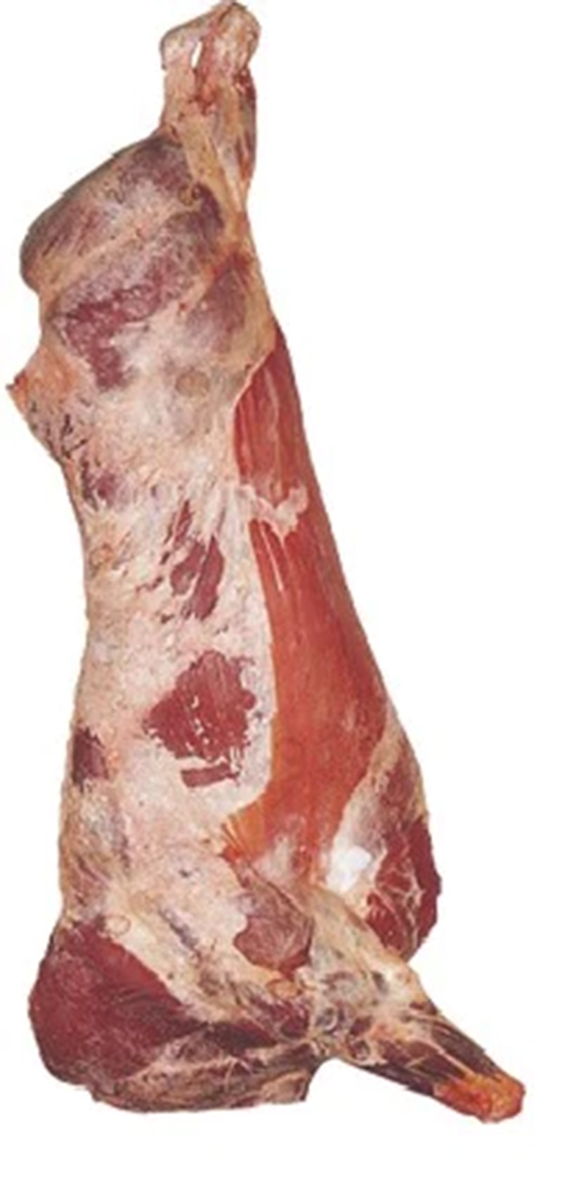 The Gingin Butcher - Beef Order Form - Beef Carcass
